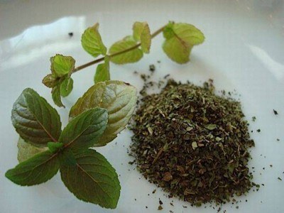 Dried Mint (250 gr) - 3
